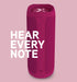 BlueAnt X3D MAX Portable Bluetooth Speaker Boudoir Red